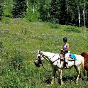 Meet your Posher, Grace